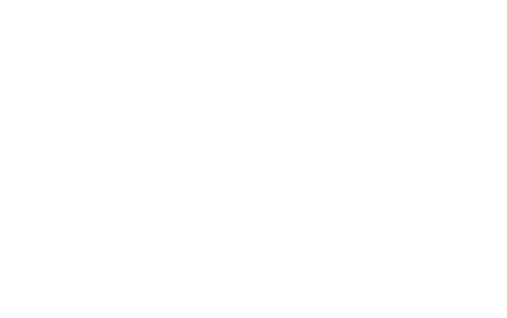The Wok